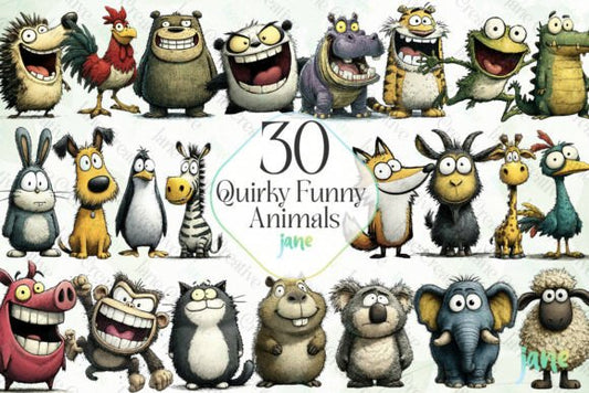 Quirky Funny animals